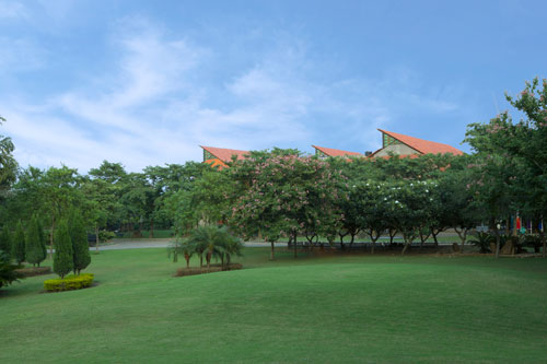 Lush Green Campus Walkways