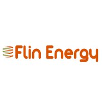Flin Energy Pvt. Ltd Logo